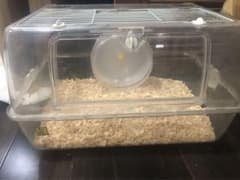 あるちゃん様専用ページのサムネイル