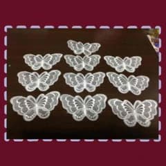 バタフライレースのサムネイル