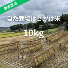 【令和7年産】農家直送 自然栽培はさがけ米 10kg 令和7年産】農家直送 自然栽培はさがけ米 10kg - メルカリ