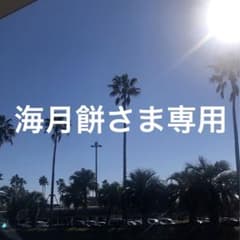 海月餅様専用のサムネイル