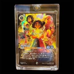 ロルカナ マドリガル一家 家族の年齢さまざま - メルカリ
