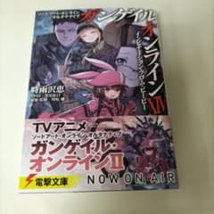 소드 아트 온라인 얼터너티브 건게일 온라인 XIV ―인…