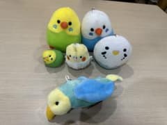 セキセイインコとオカメ ぬいぐるみ 6点セットのサムネイル