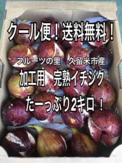 加工用2㌔クール便無料！米糠循環農法で作る樹上完熟イチジク久留米の農家よりのサムネイル