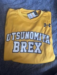 taさん専用 宇都宮ブレックス　カレッジロゴ　ロングTシャツのサムネイル