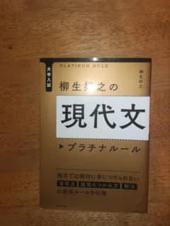 現代文 プラチナルール 柳生好之 KADOKAWAのサムネイル