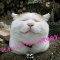 あきちぃ☆プロフ必読様専用のサムネイル