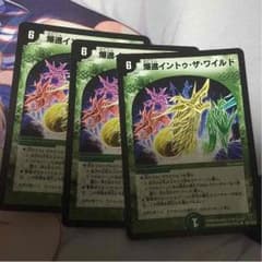 爆進イントゥザワイルドのサムネイル