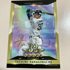 m20071133614_1.jpg?1754909930