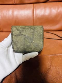 ワイルドスワンズ カーサ エレファント フルグレインレザー カーキ