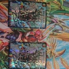 ロマネスク2枚のサムネイル