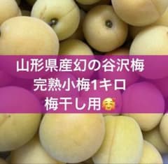 山形県産谷沢梅 幻の梅 完熟小梅1キロ サイズミックス 梅干し 梅