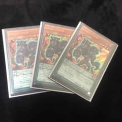 DDケルベロス バラ可のサムネイル