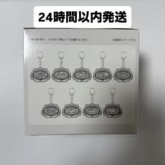 ポケパーク カントー 限定 ブイブイヴォヤージュ アクリルキーホルダー 全9種 ポケパーク カントー 限定 ブイブイヴォヤージュ アクリルキーホルダー