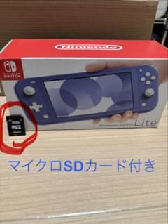 Switch Nintendo Lite マイクロSDカード64GBセット