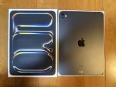 【準美品】Apple iPad Pro 11インチ　スペースブラック　256GBのサムネイル