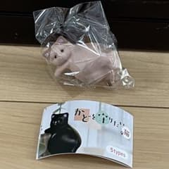 치이카와 카레의 동행자 BIG 봉제인형 3종 세트 하치와레 토끼