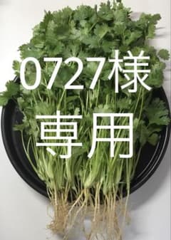 パクチー 香菜 コリアンダー 200g - メルカリ