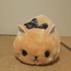 つちねこのサムネイル