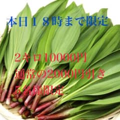 キトビロ2キロ 特別価格 10000円 キトビロ2キロ 10000円 限定 - メルカリ