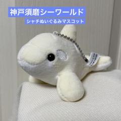 神戸須磨シーワールド限定 シャチマスコット　5点セット 神戸須磨シーワールド シャチマスコット（白） - メルカリ