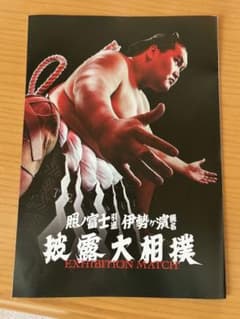 大相撲 照ノ富士断髪式パンフレット - メルカリ
