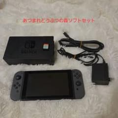 箱無し NintendoSwitch グレー本体 あつまれどうぶつの森 ソフト