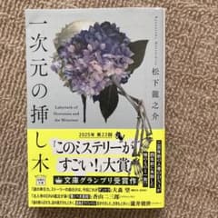 一次元の挿し木 松下龍之介のサムネイル
