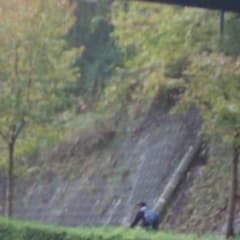 愛桜様専用のサムネイル
