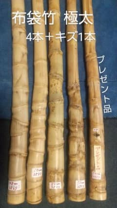 aki0506様布袋竹のサムネイル