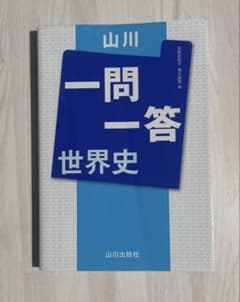 山川 一問一答 世界史のサムネイル