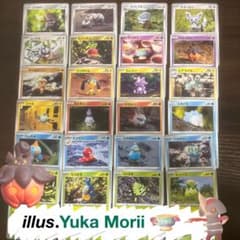 Yuka Morii先生イラスト ポケモンカード まとめ売り 森井ユカ 24種