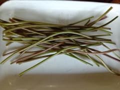 自家栽培 さつまの茎のサムネイル