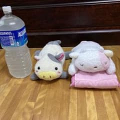 まつもと きゅうてぃ ふぁーむ ぬいぐるみ ウシ うし 牛 ぬいぐるみ フリッカ うし ぬいぐるみ 2体セット 株式会社まつもと フリッカ - メルカリ