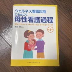ウェルネス看護診断にもとづく母性看護過程のサムネイル
