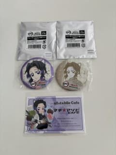 Demon Slayer: Kimetsu no Yaiba Meiji Village Kocho Shinobu　Set of 2 pin badges