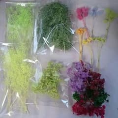 みかりん様専用ですのサムネイル