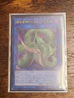 ヴェルデアナコンダのサムネイル