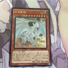 白き霊龍のサムネイル