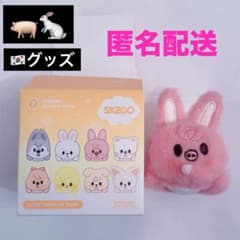 SKZOO SECRET WIND-UP PLUSH チャンビン トエッキ - メルカリ