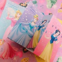 ディズニープリンセス フォトフォルダー❤︎のサムネイル
