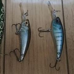 gurotakaya様専用  レベルシャッドセットのサムネイル