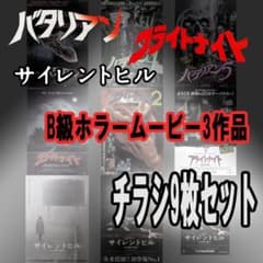 映画チラシ（フライヤー）セット【Ｂ】 m20120174181_1.jpg?1735644210