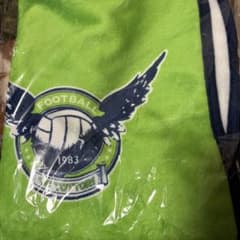 むらじ様専用 ガイナーレ鳥取　ブランケットのサムネイル