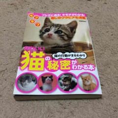 かわいい猫の秘密がわかる本のサムネイル