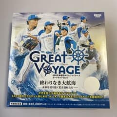 m20122213893_1.jpg?1767424200