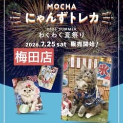 猫カフェ MOCHA にゃんずトレカ 2026 SUMMER バラ売り - メルカリ