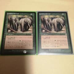 MTG 獣群の呼び声(ODY) 日本語版2枚セット 内1枚表面やや汚れあり