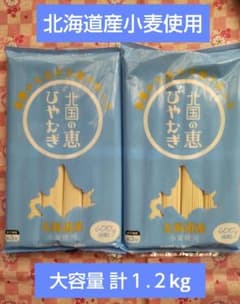 【北海道産小麦使用】北国の恵ひやむぎ 計１.２kg(１００g ×６束 ×２袋)のサムネイル