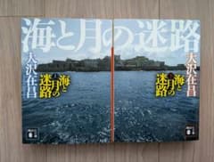 大沢在昌 海と月の迷路 上・下 セットのサムネイル